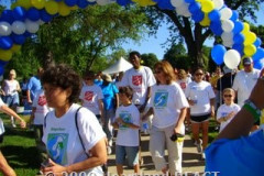 2009 NAMI Walk