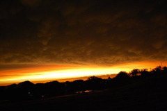 2010 Weather