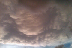 IMG00110-20100617-2056
