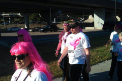 2011 Race for the Cure