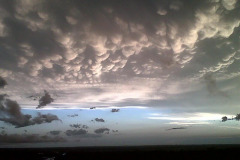 2011 Weather