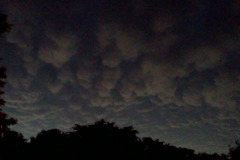 IMG_20110626_212424