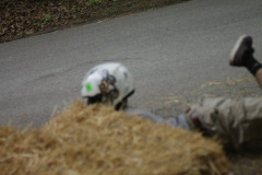 IMG_4269_7000