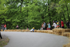 IMG_4384_7119