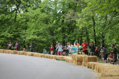 IMG_4403_7135