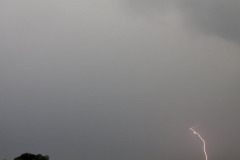 IMG_3305_6002
