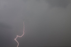 IMG_3590_6287