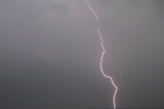 IMG_3617_6314
