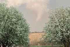 IMG_0033