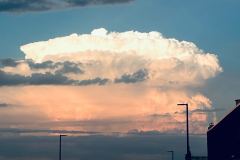 IMG_4961